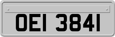 OEI3841