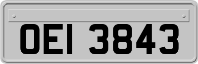 OEI3843
