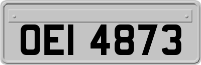 OEI4873