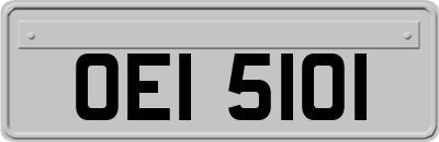 OEI5101