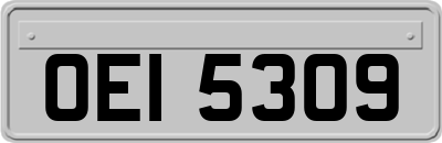 OEI5309