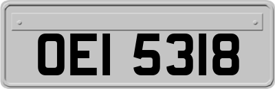 OEI5318
