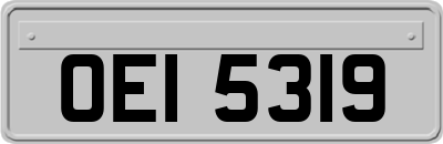 OEI5319