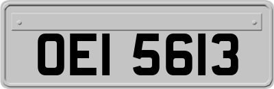 OEI5613