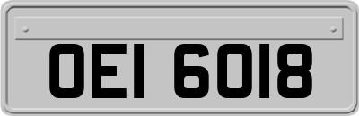 OEI6018