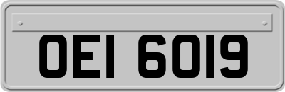OEI6019