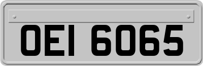 OEI6065
