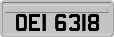 OEI6318