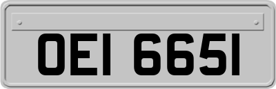 OEI6651
