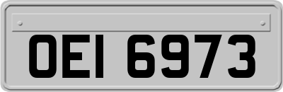 OEI6973