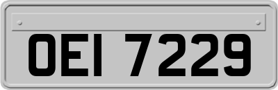 OEI7229