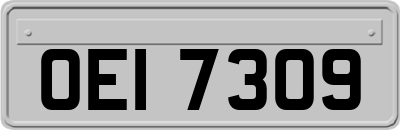 OEI7309