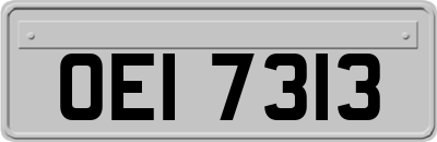 OEI7313