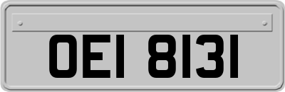 OEI8131