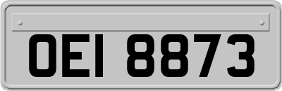 OEI8873