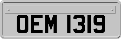 OEM1319