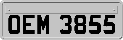 OEM3855