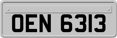 OEN6313