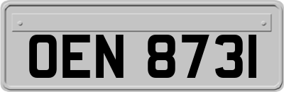 OEN8731