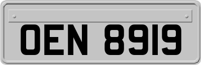 OEN8919