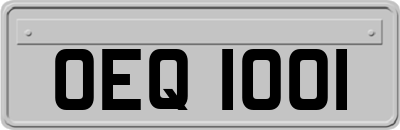 OEQ1001