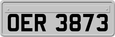 OER3873