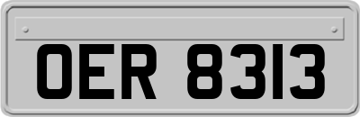 OER8313