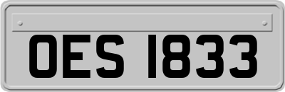 OES1833
