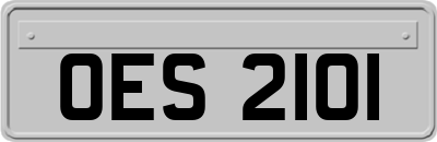 OES2101