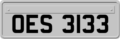 OES3133