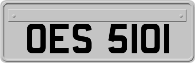 OES5101