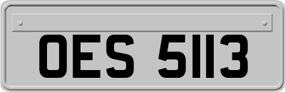 OES5113