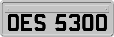 OES5300