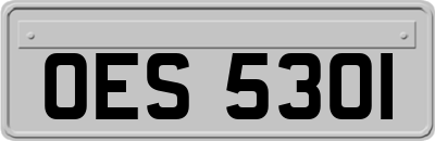 OES5301