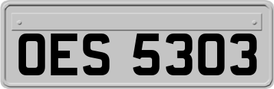 OES5303