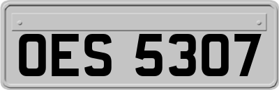 OES5307