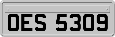 OES5309
