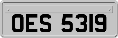 OES5319