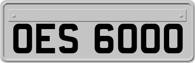 OES6000