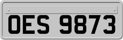 OES9873