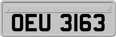 OEU3163