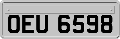 OEU6598