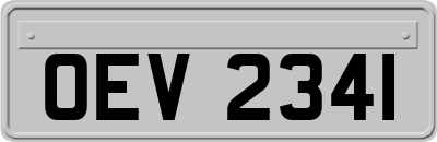 OEV2341