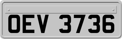 OEV3736
