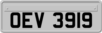 OEV3919