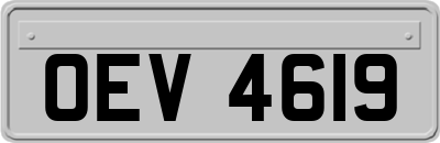 OEV4619
