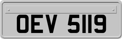 OEV5119
