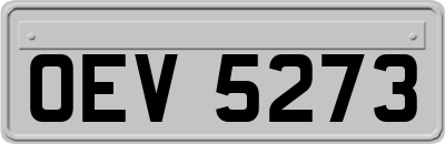OEV5273