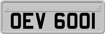 OEV6001