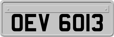 OEV6013